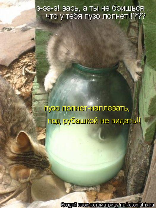 Котоматрица: э-ээ-э! вась, а ты не боишься , что у тебя пузо лопнет!!??? пузо лопнет-наплевать,  под рубашкой не видать!!