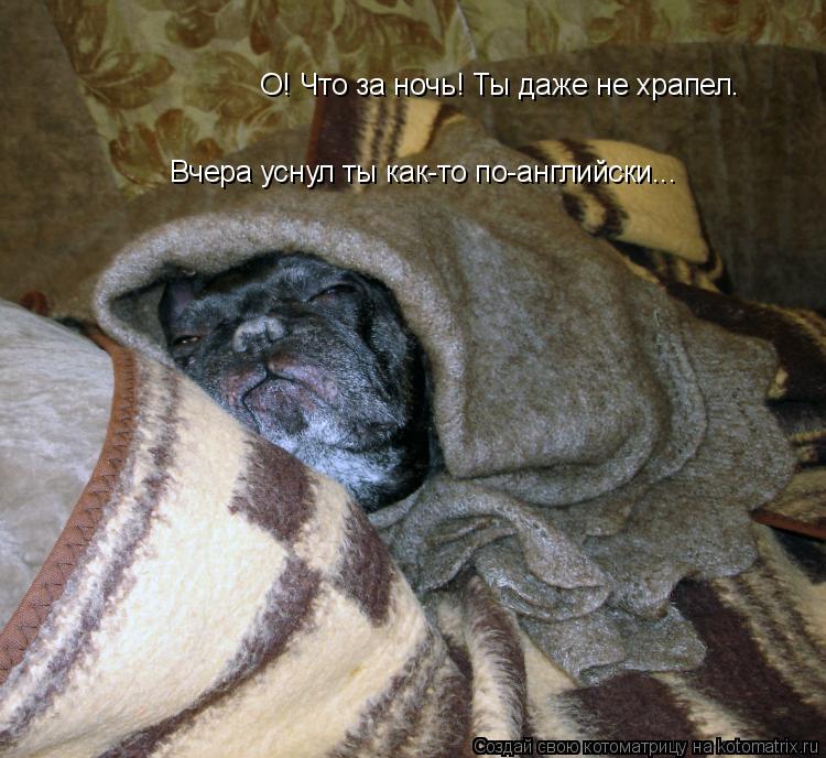 Котоматрица: О! Что за ночь! Ты даже не храпел.         Вчера уснул ты как-то по-английски...
