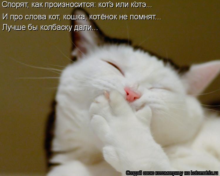 Котоматрица: Спорят, как произносится: котэ или котэ...  И про слова кот, кошка, котёнок не помнят...  Лучше бы колбаску дали... ` `