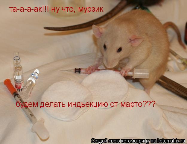 Котоматрица: та-а-а-ак!!! ну что, мурзик будем делать индьекцию от марто???