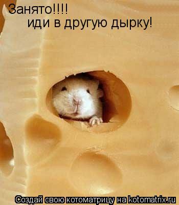 Котоматрица: Занято!!!! иди в другую дырку!