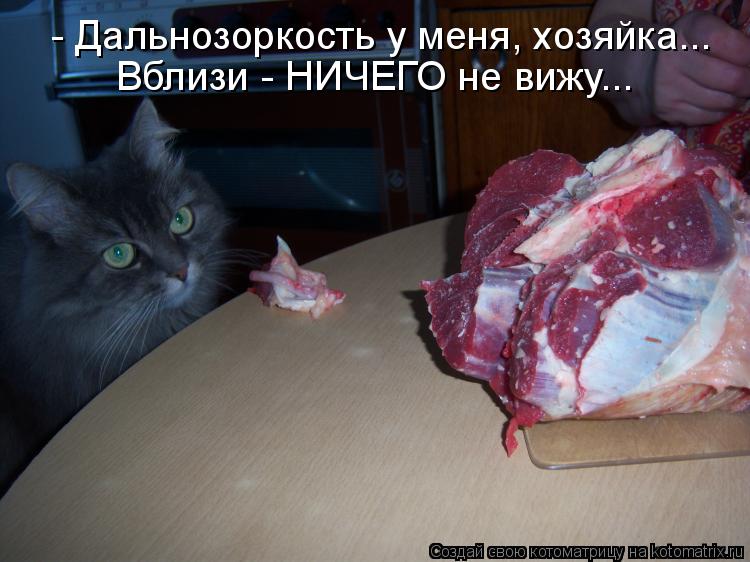 Котоматрица: - Дальнозоркость у меня, хозяйка... Вблизи - НИЧЕГО не вижу...