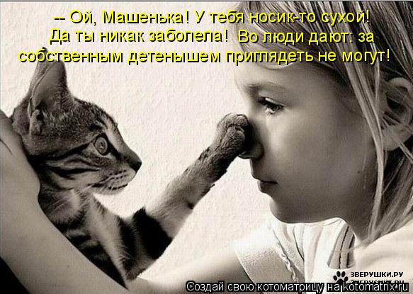 Котоматрица: -- Ой, Машенька! У тебя носик-то сухой! Да ты никак заболела! Во люди дают: за  собственным детенышем приглядеть не могут!