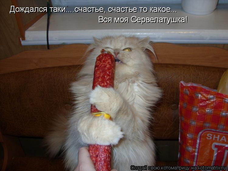 Котоматрица: Дождался таки....счастье, счастье то какое... Вся моя Сервелатушка!