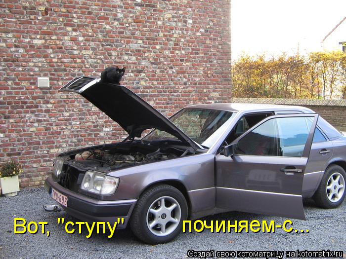 Вот, "ступу" починяем-с...... Котоматрица: Вот, "ступу" починяем-с...