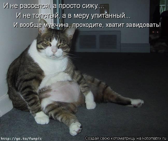 Котоматрица: И не расселся, а просто сижу.... И не толстый, а в меру упитанный... И вообще мужчина, проходите, хватит завидовать!