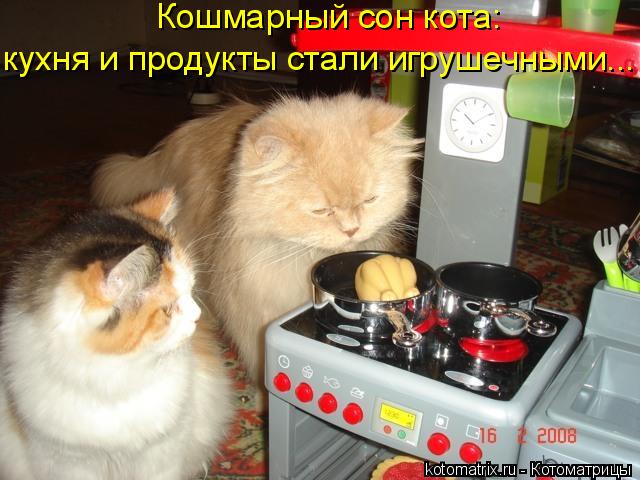 Котоматрица: Кошмарный сон кота: кухня и продукты стали игрушечными...