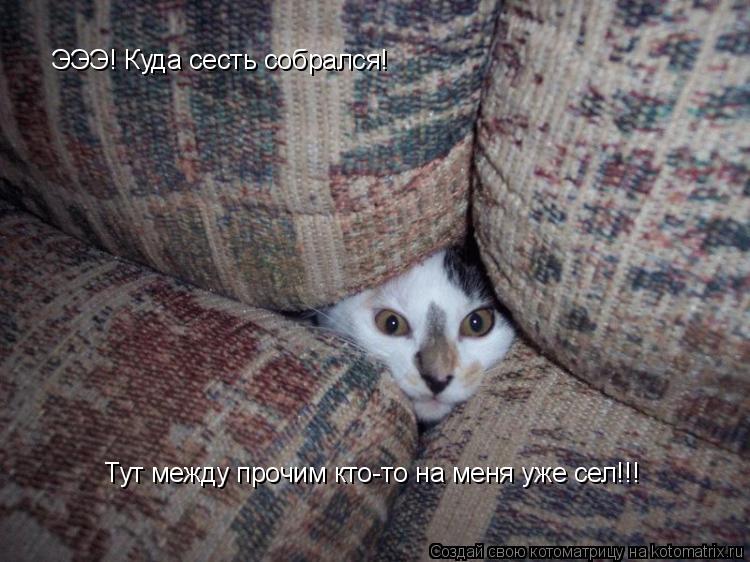 Котоматрица: ЭЭЭ! Куда сесть собрался! Тут между прочим кто-то на меня уже сел!!!
