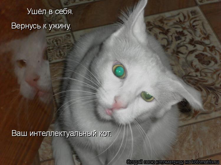 Котоматрица: Ушёл в себя. Вернусь к ужину. Ваш интеллектуальный кот.