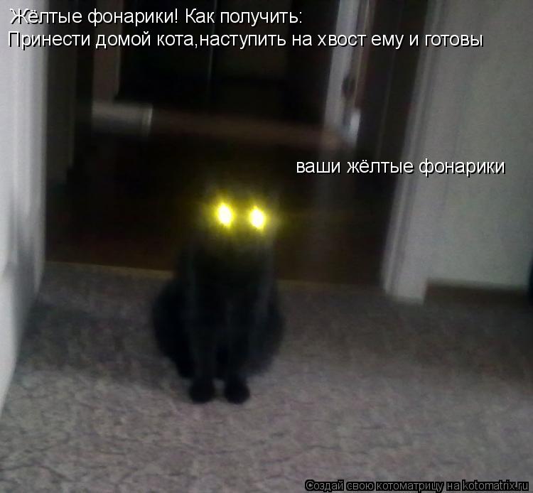 Котоматрица: Жёлтые фонарики! Как получить: Принести домой кота,наступить на хвост ему и готовы ваши жёлтые фонарики