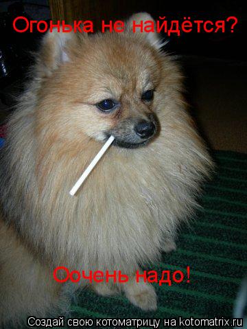 Котоматрица: Огонька не найдётся? Оочень надо!