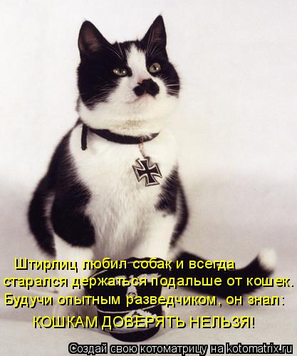 Котоматрица: Штирлиц любил собак и всегда  старался держаться подальше от кошек. Будучи опытным разведчиком, он знал: КОШКАМ ДОВЕРЯТЬ НЕЛЬЗЯ!