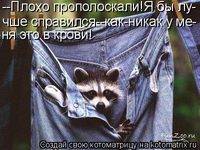 Котоматрица: --Плохо прополоскали!Я бы лу- чше справился--как-никак у ме- ня это в крови!