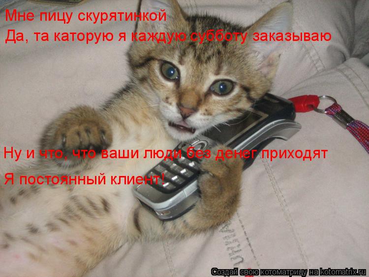 Котоматрица: Мне пицу скурятинкой Да, та каторую я каждую субботу заказываю Ну и что, что ваши люди без денег приходят Я постоянный клиент!