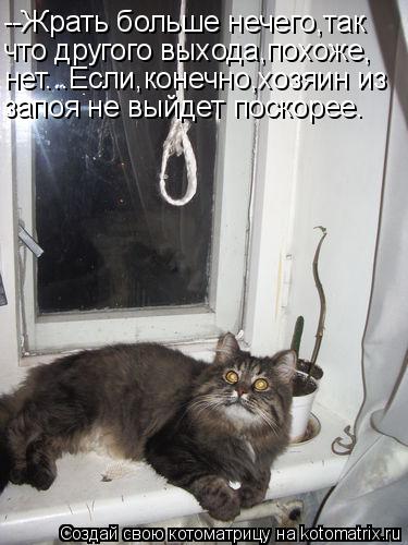 Котоматрица: --Жрать больше нечего,так что другого выхода,похоже, нет...Если,конечно,хозяин из запоя не выйдет поскорее.