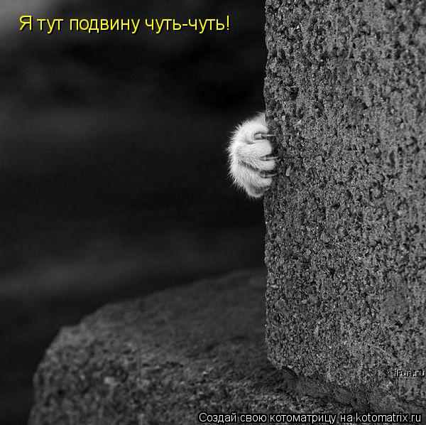 Котоматрица: Я тут подвину чуть-чуть!