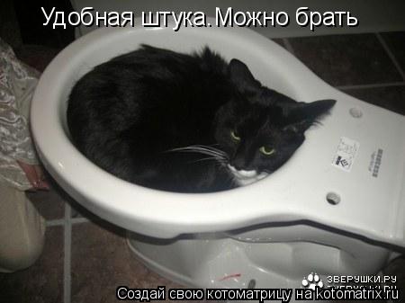Котоматрица: Удобная штука.Можно брать