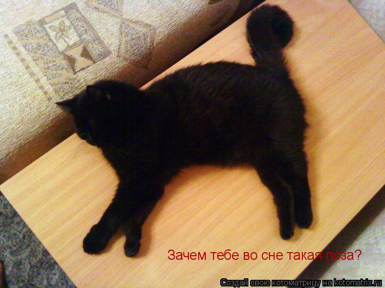 Котоматрица: Зачем тебе во сне такая поза?
