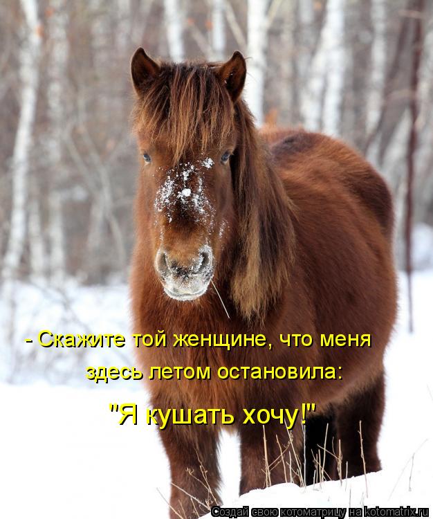 Котоматрица: - Скажите той женщине, что меня  здесь летом остановила: "Я кушать хочу!"
