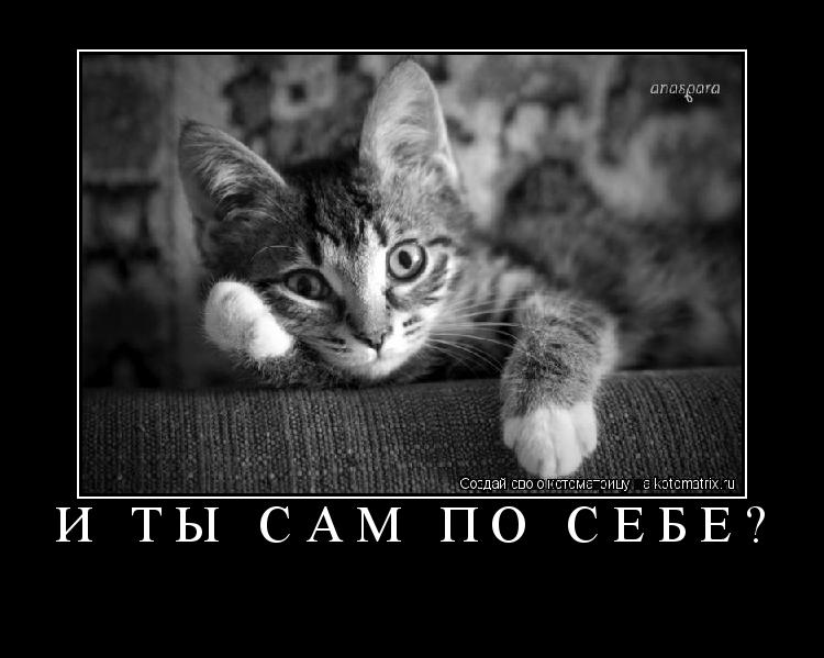 Котоматрица: И ТЫ САМ ПО СЕБЕ? 
