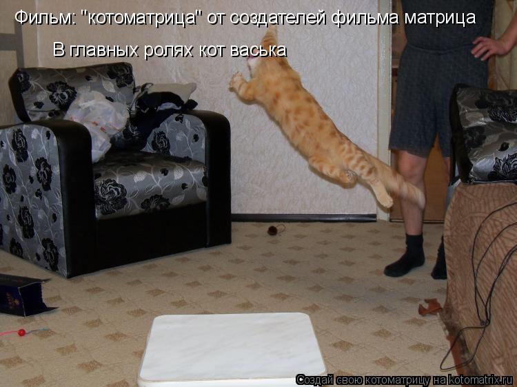 Котоматрица: Фильм: "котоматрица" от создателей фильма матрица В главных ролях кот васька