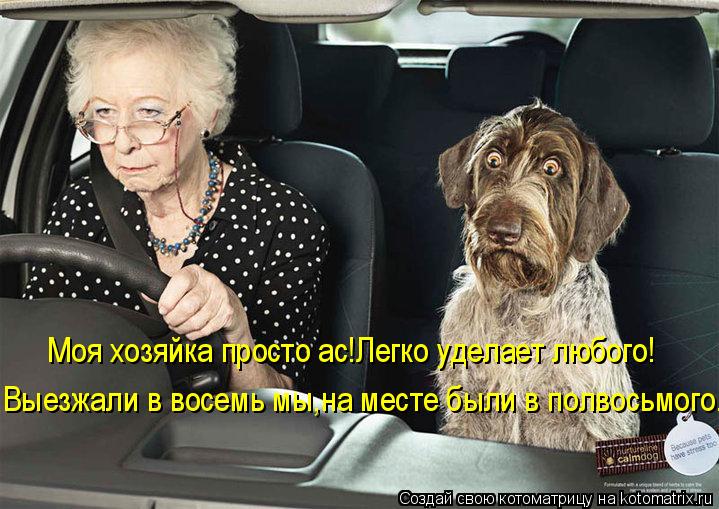 Выезжали в восемь мы,на месте были в полвосьмого. Моя хозяйка просто ас!Легко уделает любого!... Котоматрица: Выезжали в восемь мы,на месте были в полвосьмого. Моя хозяйка просто ас!Легко уделает любого!