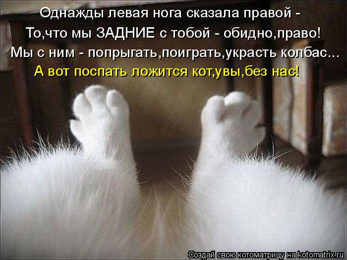 Однажды левая нога сказала правой - То,что мы ЗАДНИЕ с тобой - обидно,право! Мы с ним - попрыгать,пои... Котоматрица: Однажды левая нога сказала правой - То,что мы ЗАДНИЕ с тобой - обидно,право! Мы с ним - попрыгать,поиграть,украсть колбас... А вот поспать ложит
