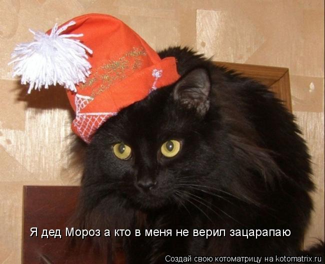 Котоматрица: Я дед Мороз а кто в меня не верил зацарапаю