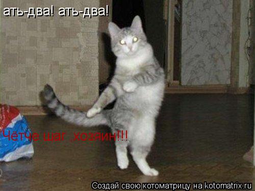 Котоматрица: ать-два! ать-два! Чётче шаг ,хозяин!!!