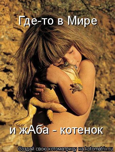 Котоматрица: Где-то в Мире и жАба - котенок