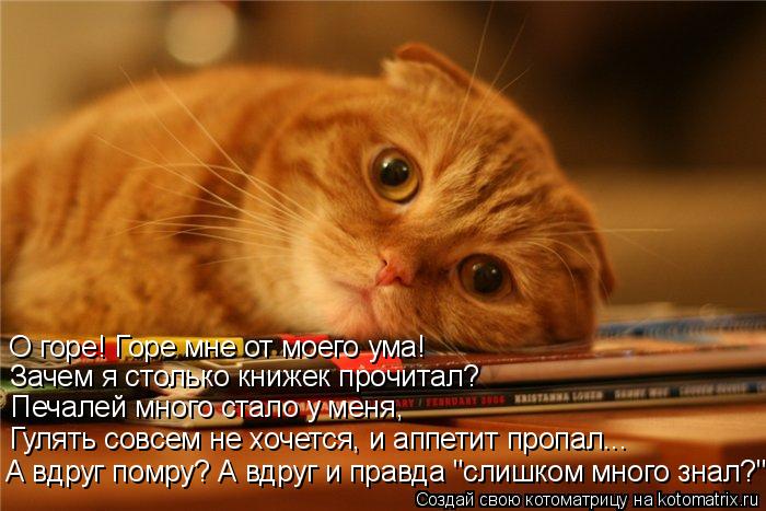 О горе! Горе мне от моего ума! Зачем я столько книжек прочитал? Печалей много стало у меня, Гулять с... Котоматрица: О горе! Горе мне от моего ума! Зачем я столько книжек прочитал? Печалей много стало у меня, Гулять совсем не хочется, и аппетит пропал... А вдр