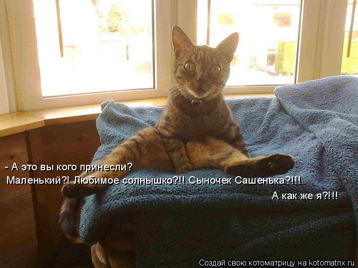 Котоматрица: - А это вы кого принесли?   Маленький?! Любимое солнышко?!! Сыночек Сашенька?!!! А как же я?!!!