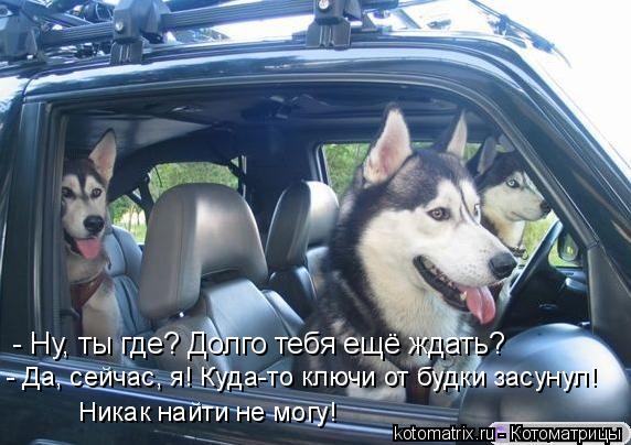 Котоматрица: - Ну, ты где? Долго тебя ещё ждать? - Да, сейчас, я! Куда-то ключи от будки засунул! Никак найти не могу!
