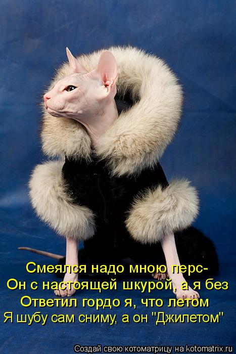 Смеялся надо мною перс- Он с настоящей шкурой, а я без Ответил гордо я, что летом Я шубу сам сниму, а... Котоматрица: Смеялся надо мною перс- Он с настоящей шкурой, а я без Ответил гордо я, что летом Я шубу сам сниму, а он "Джилетом"