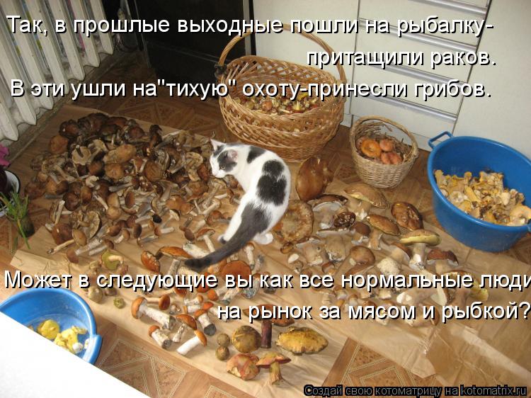 Котоматрица: Так, в прошлые выходные пошли на рыбалку- притащили раков. В эти ушли на"тихую" охоту-принесли грибов. Может в следующие вы как все нормальны