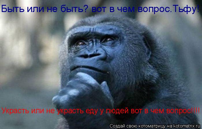 Котоматрица: Быть или не быть? вот в чем вопрос.Тьфу! Украсть или не украсть еду у людей вот в чем вопрос!!!!