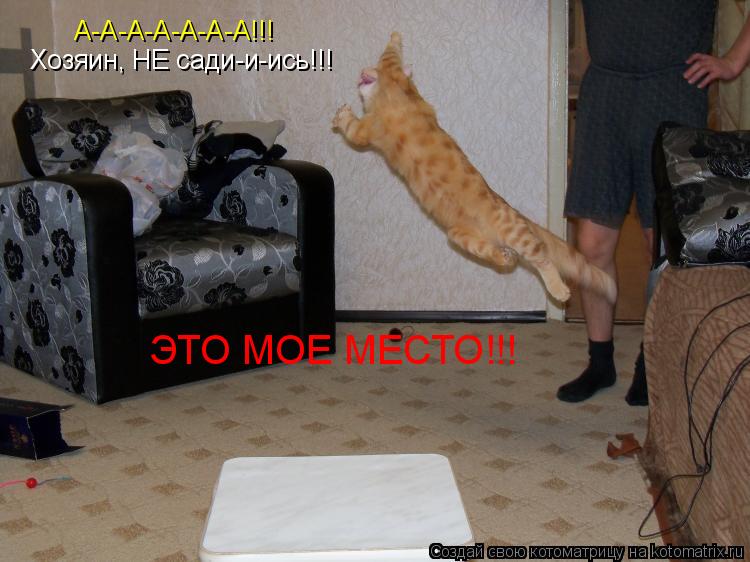 Котоматрица: А-А-А-А-А-А-А!!! Хозяин, НЕ сади-и-ись!!! ЭТО МОЕ МЕСТО!!!