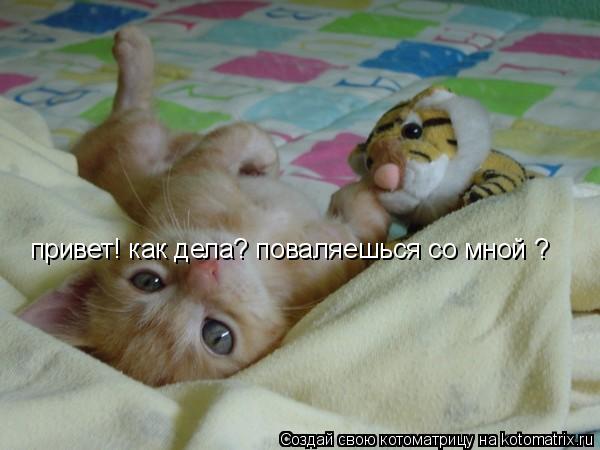 Котоматрица: привет! как дела? поваляешься со мной ?