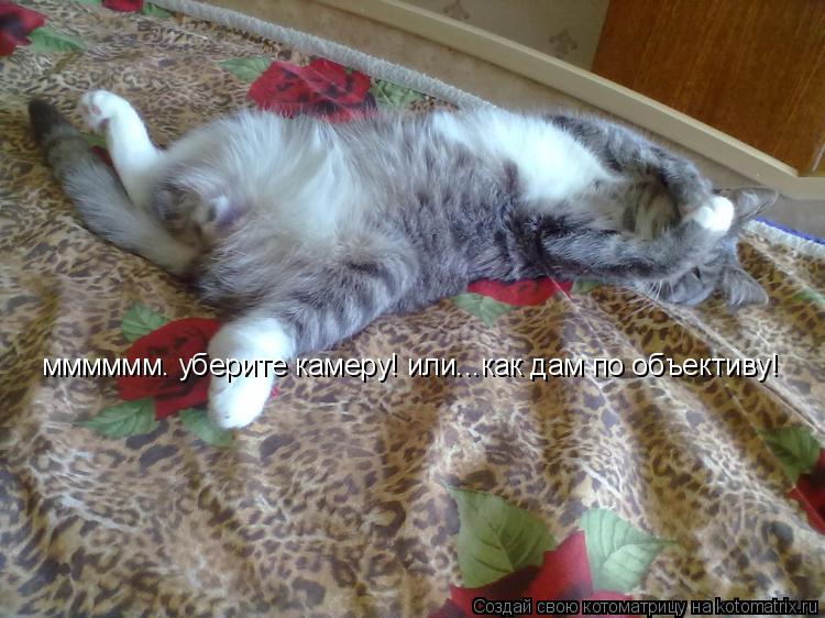 Котоматрица: мммммм. уберите камеру! или...как дам по объективу!