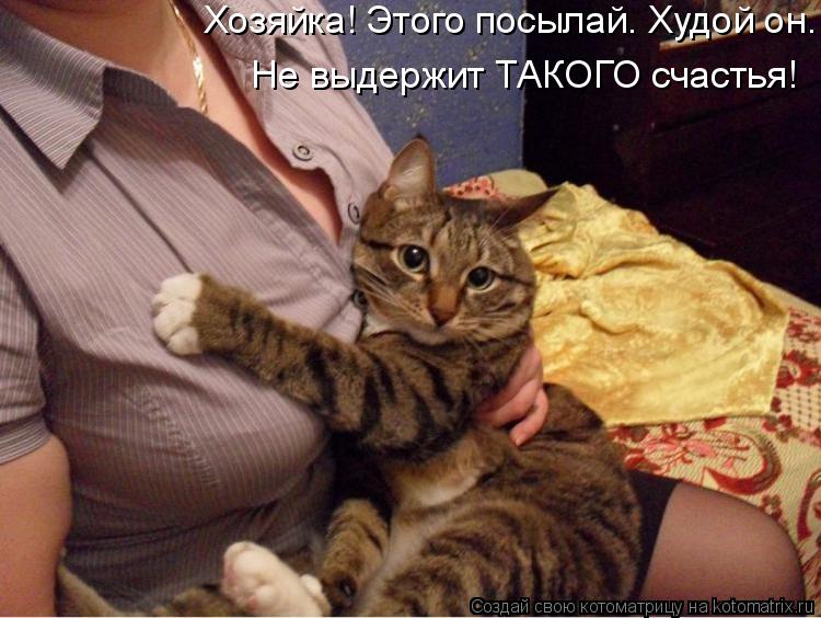 Котоматрица: Хозяйка! Этого посылай. Худой он.  Не выдержит ТАКОГО счастья!