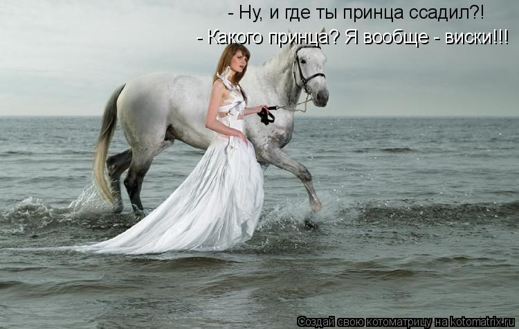 Котоматрица: - Ну, и где ты принца ссадил?! - Какого принца? Я вообще - виски!!!