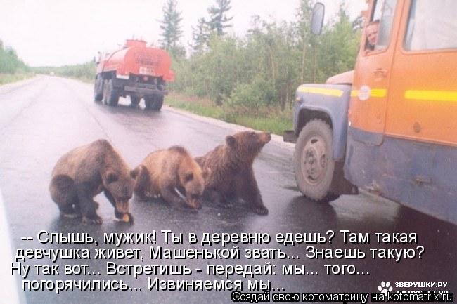 Котоматрица: -- Слышь, мужик! Ты в деревню едешь? Там такая  девчушка живет, Машенькой звать... Знаешь такую? Ну так вот... Встретишь - передай: мы... того...  пог
