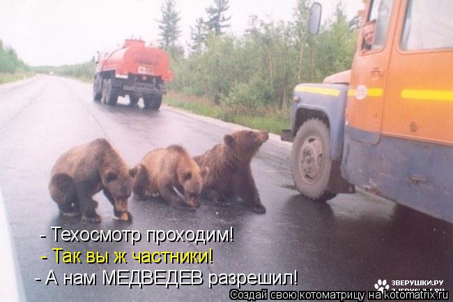 Котоматрица: - Техосмотр проходим! - Так вы ж частники! - А нам МЕДВЕДЕВ разрешил!