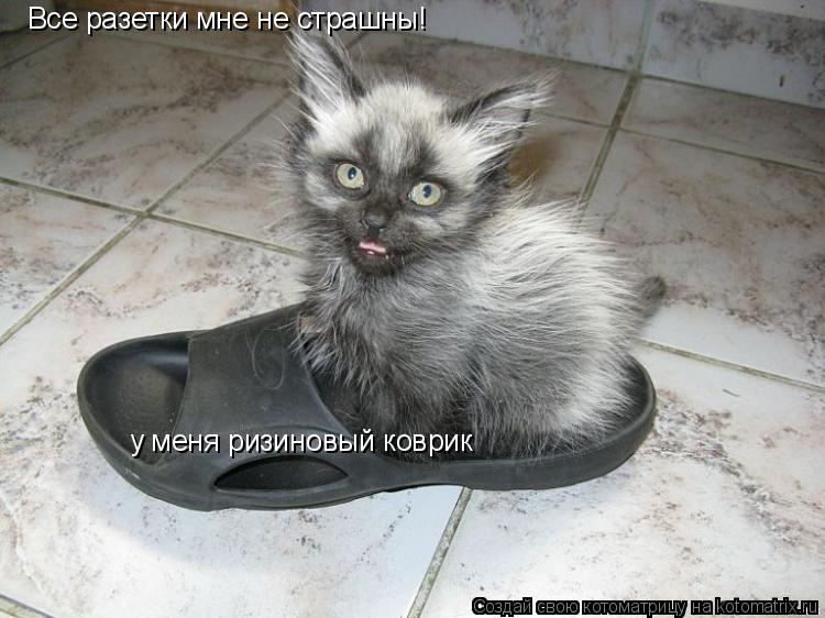 Котоматрица: Все разетки мне не страшны! у меня ризиновый коврик