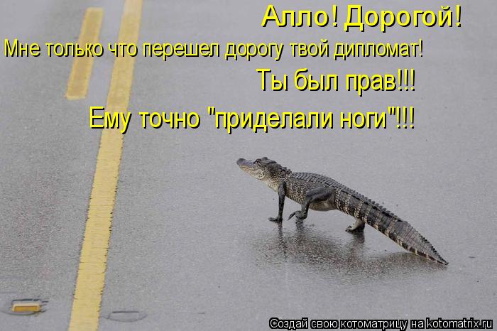 Алло! Дорогой! Мне только что перешел дорогу твой дипломат! Ты был прав!!! Ему точно "приделали ноги... Котоматрица: Алло! Дорогой! Мне только что перешел дорогу твой дипломат! Ты был прав!!! Ему точно "приделали ноги"!!!