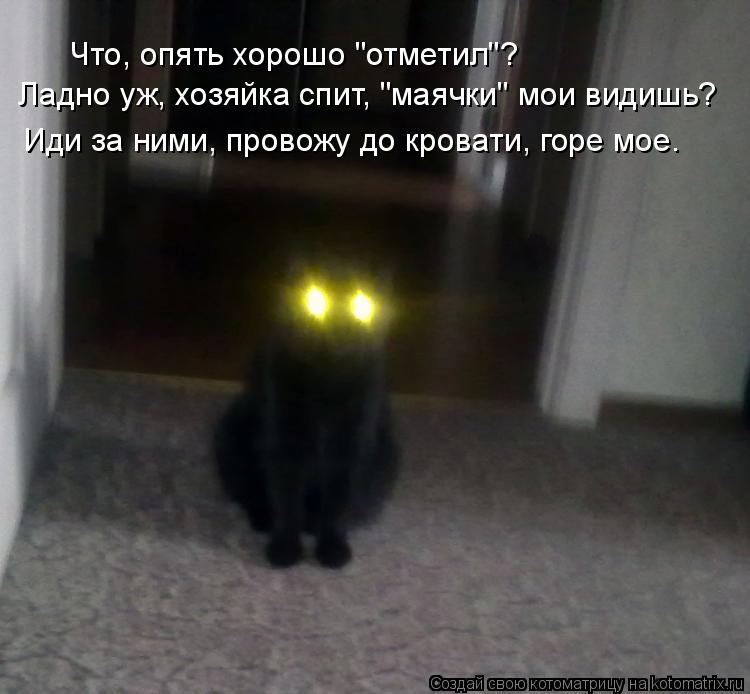 Котоматрица: Что, опять хорошо "отметил"? Ладно уж, хозяйка спит, "маячки" мои видишь? Иди за ними, провожу до кровати, горе мое.