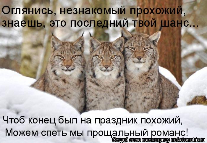 Оглянись, незнакомый прохожий, знаешь, это последний твой шанс... Можем спеть мы прощальный романс! ... Котоматрица: Оглянись, незнакомый прохожий, знаешь, это последний твой шанс... Можем спеть мы прощальный романс! Чтоб конец был на праздник похожий,
