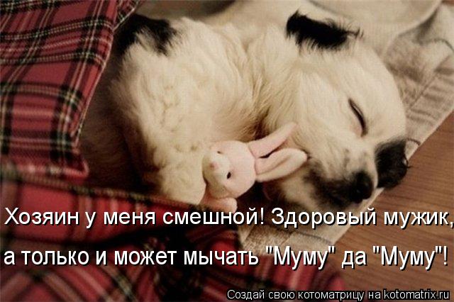 Котоматрица: Хозяин у меня смешной! Здоровый мужик,  а только и может мычать "Муму" да "Муму"!