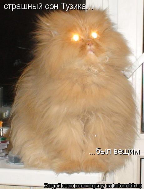страшный сон Тузика... ...был вещим... Котоматрица: страшный сон Тузика... ...был вещим