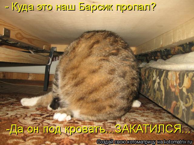 - Куда это наш Барсик пропал? -Да он под кровать...ЗАКАТИЛСЯ...... Котоматрица: - Куда это наш Барсик пропал? -Да он под кровать...ЗАКАТИЛСЯ...
